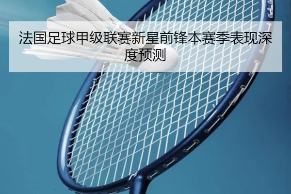 法国足球甲级联赛新星前锋本赛季表现深度预测